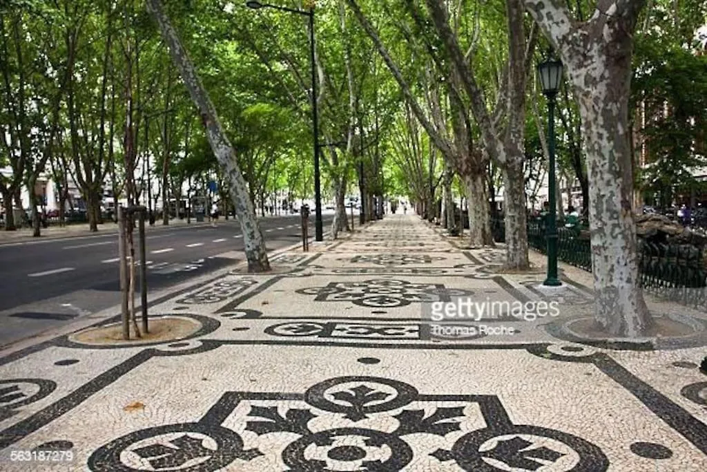 Charming Central Apartment To Rent Lisbon