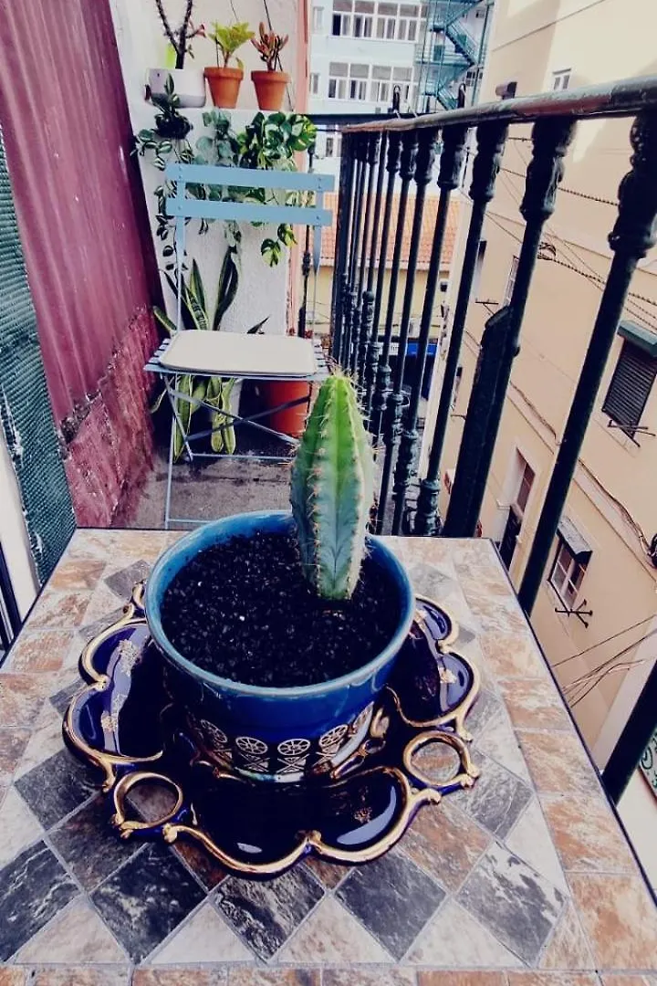 Charming Central Apartment To Rent Lisbon